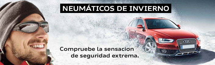 Compruebe la sensación de conducir con Neumáticos de invierno.